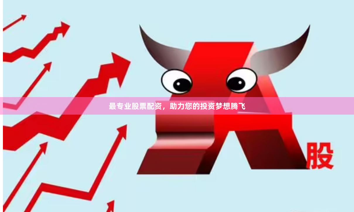 最专业股票配资，助力您的投资梦想腾飞