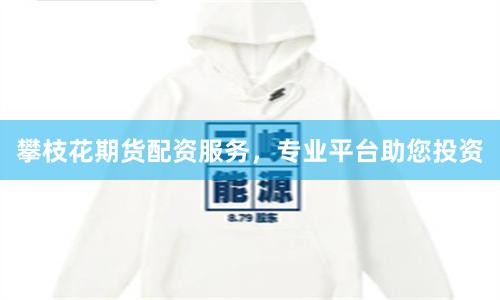 攀枝花期货配资服务,专业平台助您投资