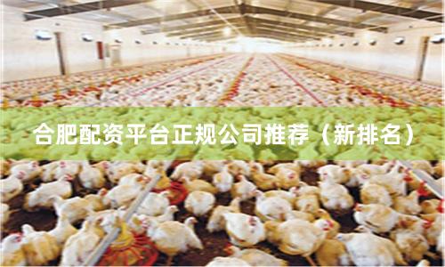 合肥配资平台正规公司推荐(新排名)
